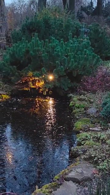 Сад. Дизайн. СВЕТ. #дизайн #сад #ландшафтныйдизайн #уход смотреть онлайн