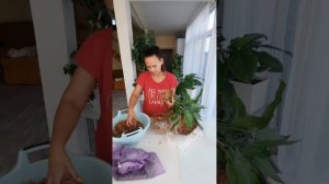 Выращивание домашних цветов во мхе.  @Sphagnum_Eco