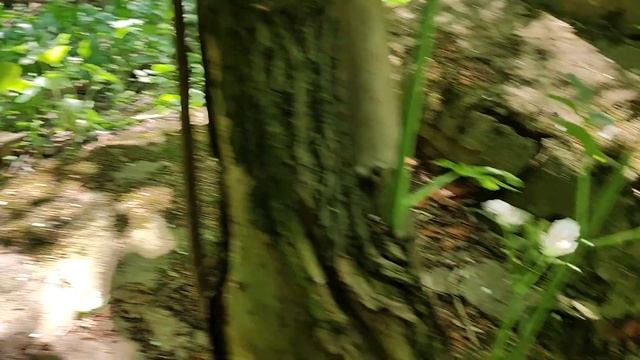 Огромный колодец в Суханово смотреть онлайн