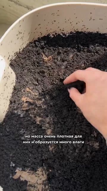 Так выглядит компостер, где живет семья червячков, пер смотреть онлайн