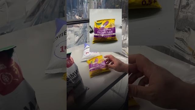 Подкормка томатов. 7 дней до пикировки #дом #рассада #те смотреть онлайн