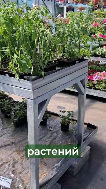 🌱Почему услуги озеленения интерьера и террас стольк?