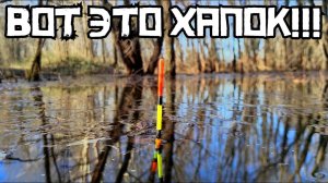НАПОРОЛСЯ НА ВЕСЕННИЙ ЖОР! Вот это БАТОНЫ на поплавок! Рыбалка 2025