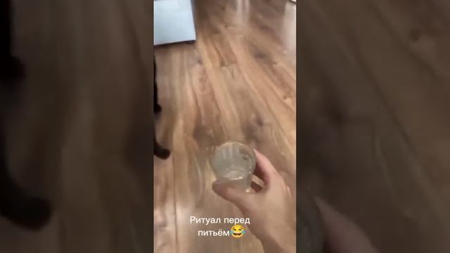 Смешные котики! Врачи для хорошего НАСТРОЕНИЯ!!!🐱👍🏻🤣 смотреть онлайн