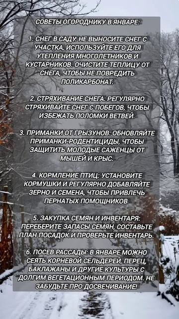 Советы огороднику в январе #садогород #советы смотреть онлайн