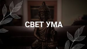 СВЕТ УМА / Медитация