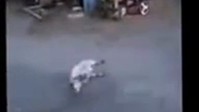 света нету прикол 2015 смотреть онлайн