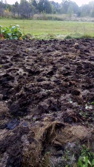 Осенние работы на огороде смотреть онлайн