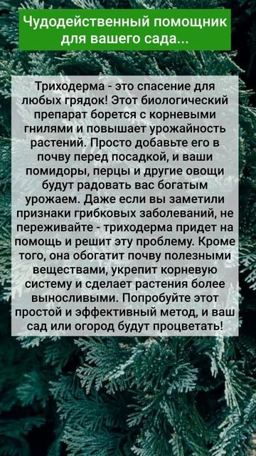 Чудодейственный помощник для вашего сада... смотреть онлайн