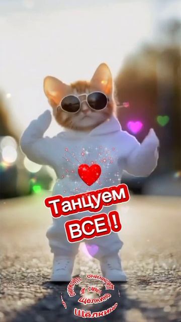 Доброе утро. Хорошего дня. Видеооткрытка смотреть онлайн