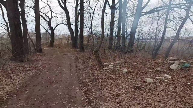 ВЗОРВАЛИ ДУПЛО МОЩНОЙ ПЕТАРДОЙ / НОВИНКА МОЩНАЯ ПЕТАРДА / ТЕСТ ПЕТАРД смотреть онлайн