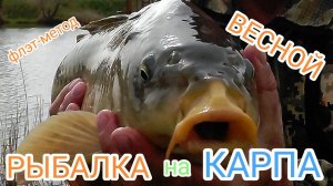 Как правильно ловить на флэт- метод весной. Рыбалка на карпа на озере Строгановка, май 2025.