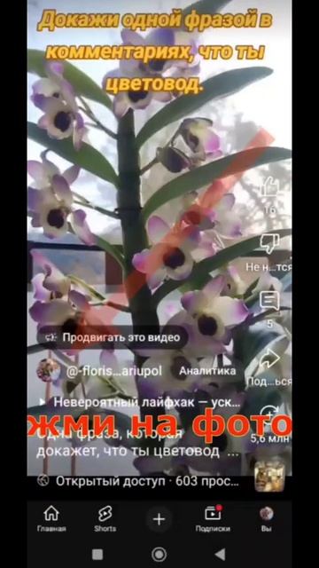 КАК ТАКОЕ ВОЗМОЖНО?Светящиеся растения!Ночной сад буд смотреть онлайн