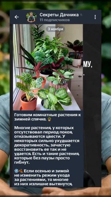 Это самое лучшее средство чтобы избавиться от муравье смотреть онлайн