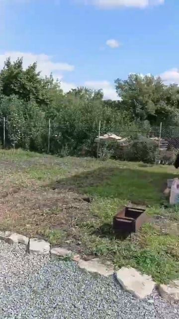 6 Баня День города 27.08.23