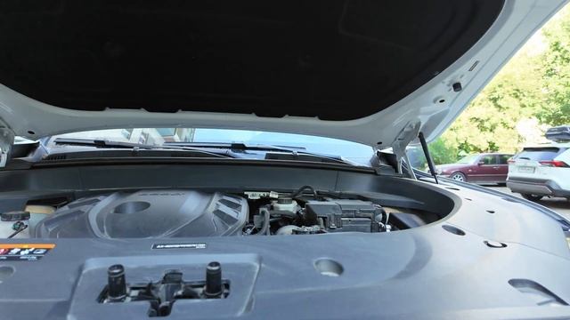 Фишка от Volvo в Geely Monjaro