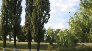 Тихо в лесу только не спит барсук .