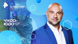 Чудо-юдо — Как устроен мир с Тимофеем Баженовым (07.05.2025)