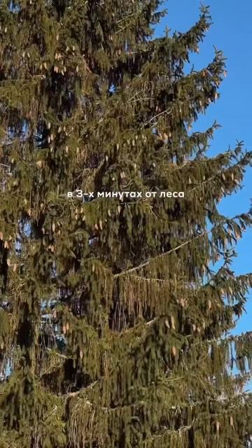 сохраняй идею для отдыха↓🏠@sveta_places - нетипичные и атм?