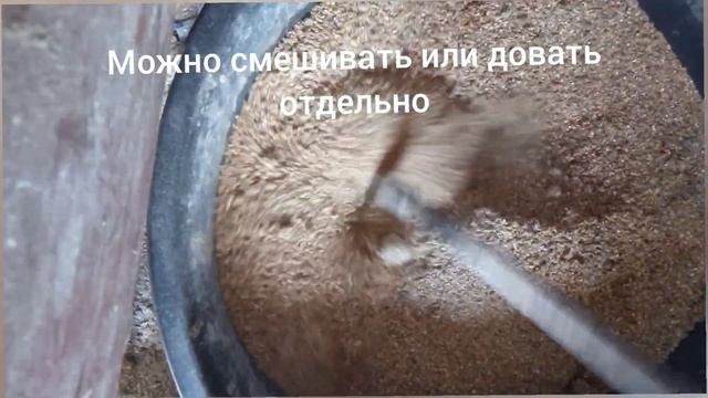 зерносмесь для кур несушек, простой и быстрый рецепт. смотреть онлайн
