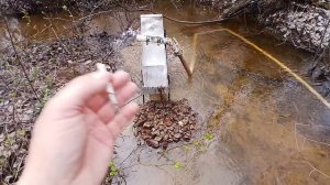 поиск золотых самородков в горном ручье