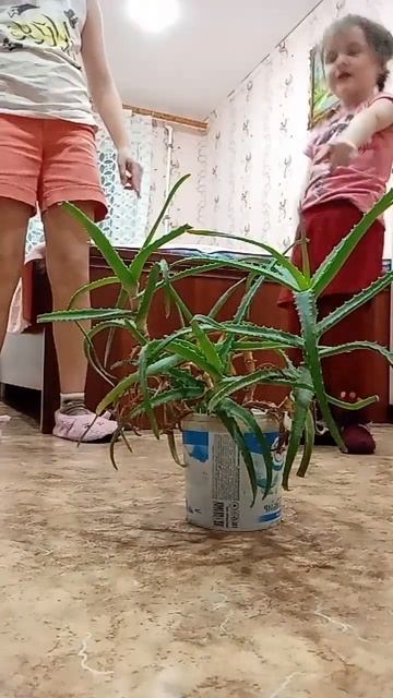 2 февраля 2024 г.