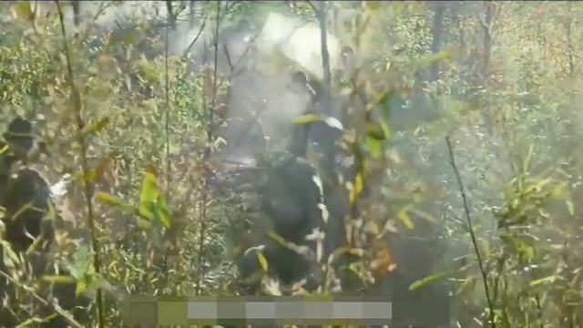 Атака роя беспилотников 1｜защитный щит для беспилотн?