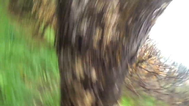 Новый Год! Новый Канал! Новый Влог! СБРИЛ УСЫ... смотреть онлайн