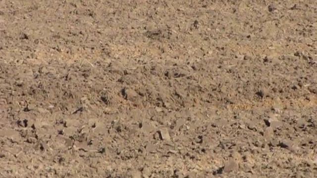 АГРОФЛОТ Сельхозтехника от AGROFLOT.ru смотреть онлайн