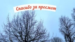 17 марта День Герасима. Что нельзя делать 17 марта. Народ
