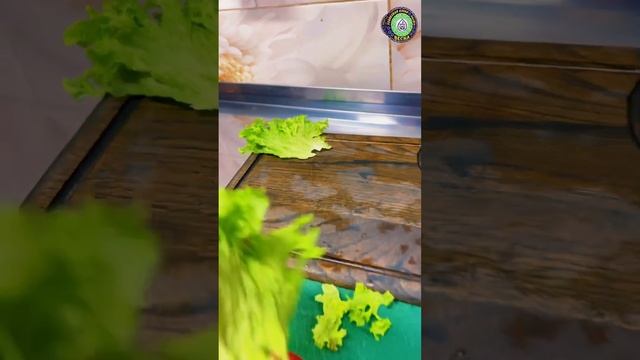 Кафе Весна (тандыры 3) #весна #кафе #подольск #россия