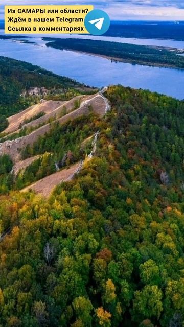 Природа Самарской области #самара #самарскаяобласть