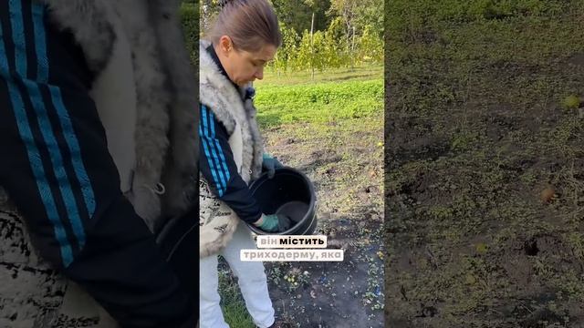 Обов’язково зроби це,перед тим,як садити озимі культ? смотреть онлайн