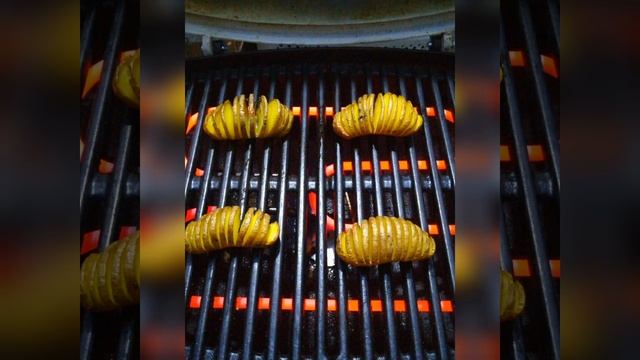 Советные Дачные Советы и Домашний Уют