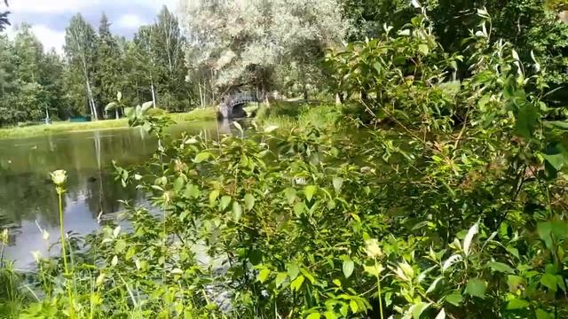 Поживём,увидим.Лена,ты серьёзно??Кто более сказочник -Лена Хеппи или измирский таксист???? смотреть онлайн