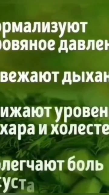 ПОЧЕМУ НУЖНО ВКЛЮЧИТЬ ОГУРЦЫ В СВОЙ РАЦИОН 🥒🥒🥒🥒🥒 смотреть онлайн