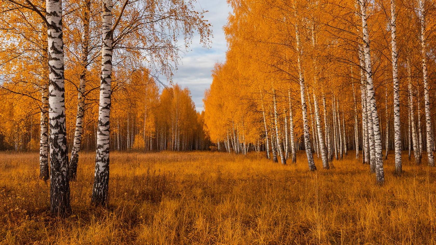 Песня 2025. Сергей Есенин — Отговорила роща золотая смотреть онлайн