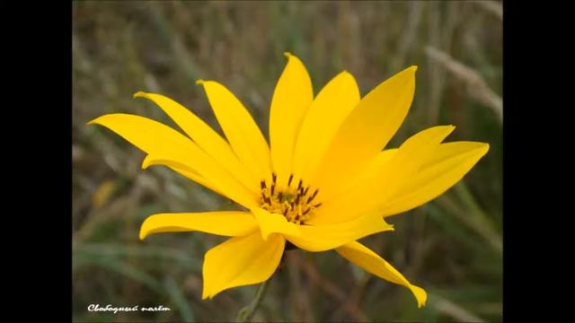 Иисус, Ты мой лучший друг  26.04.2015