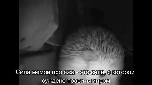 Ёжик чихнул, но это jojo референс смотреть онлайн