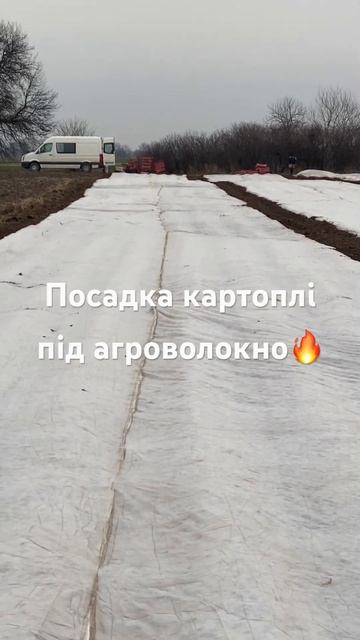 #Посадка картоплі під агроволокно #Посадка ультраранн смотреть онлайн