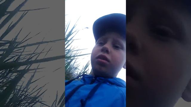 Проверка сетей 2 смотреть онлайн