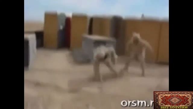 Приколы 007 смотреть онлайн