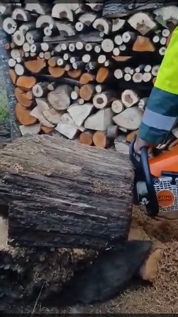 STIHL MS250 + Колун #stihlms250 #stihl250 #youtubeshorts  смотреть онлайн