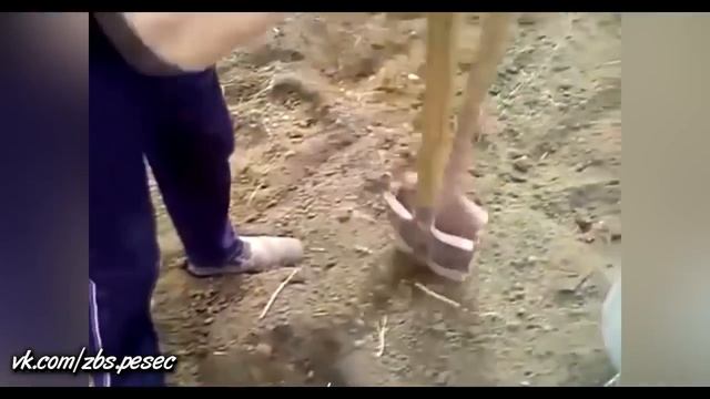 Best funny moments Полный песец part 48 смотреть онлайн