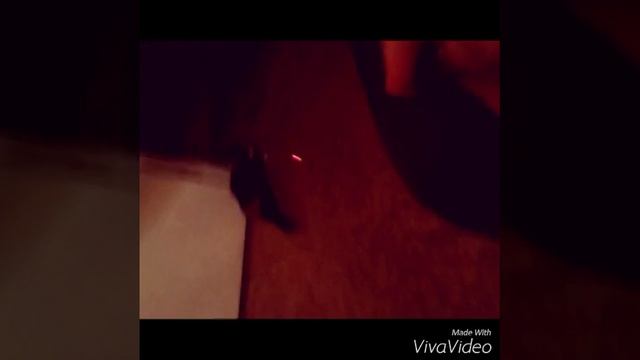 Мой кот самый лучший смотреть онлайн
