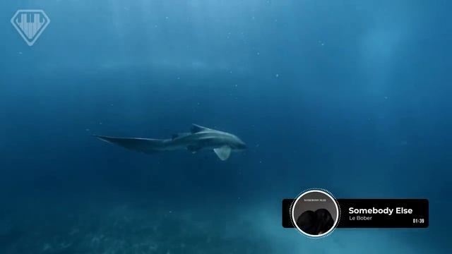 Deep house , музыка, океан, ocean смотреть онлайн