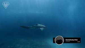 Deep house , музыка, океан, ocean