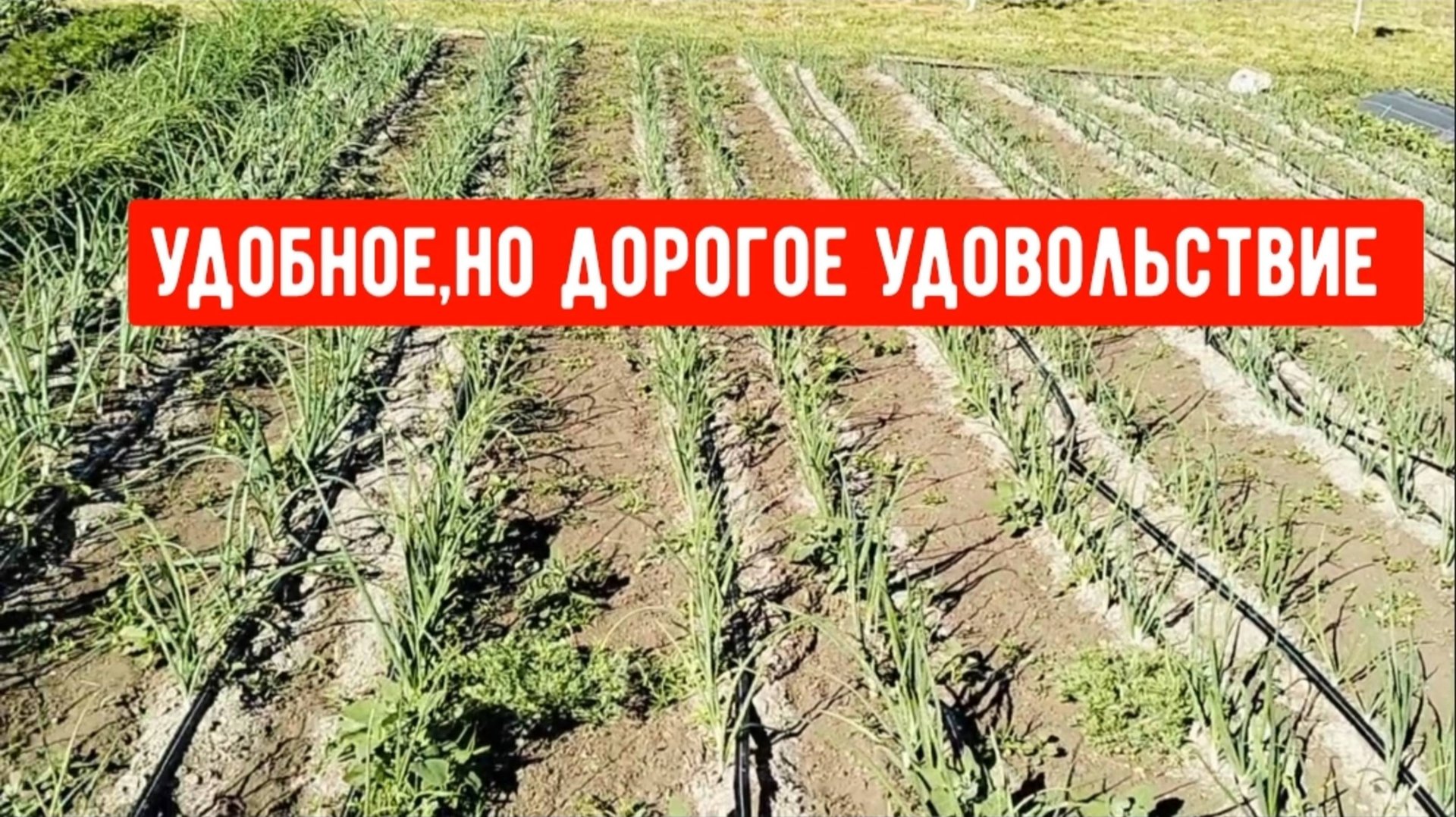 #17🌷7 мая Обследовались/Удобное,но дорогое удовольствие смотреть онлайн