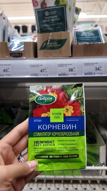Как посадить тую? Правильная ПОСАДКА ТУИ на участке вс смотреть онлайн