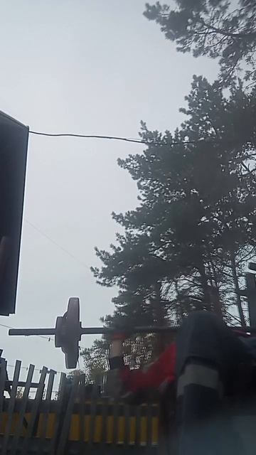 Что сюда написать? #качалка #спорт #спортзал #shorts смотреть онлайн